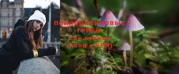 ГАЛЛЮЦИНОГЕННЫЕ ГРИБЫ Нея