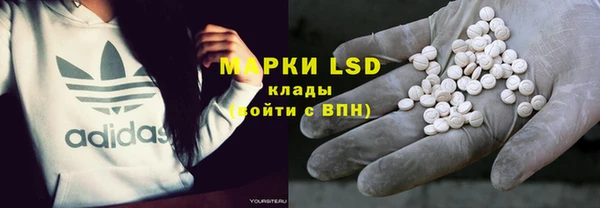 ГАЛЛЮЦИНОГЕННЫЕ ГРИБЫ Нея