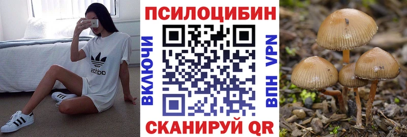 МЕГА рабочий сайт  Чекалин  Псилоцибиновые грибы Psilocybe 